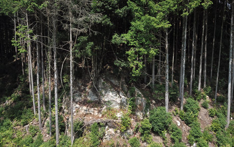 施設の雰囲気13