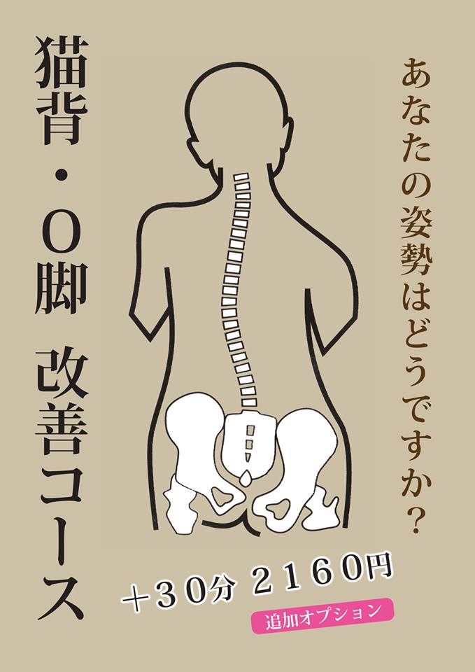 背骨・Ｏ脚改善オプション